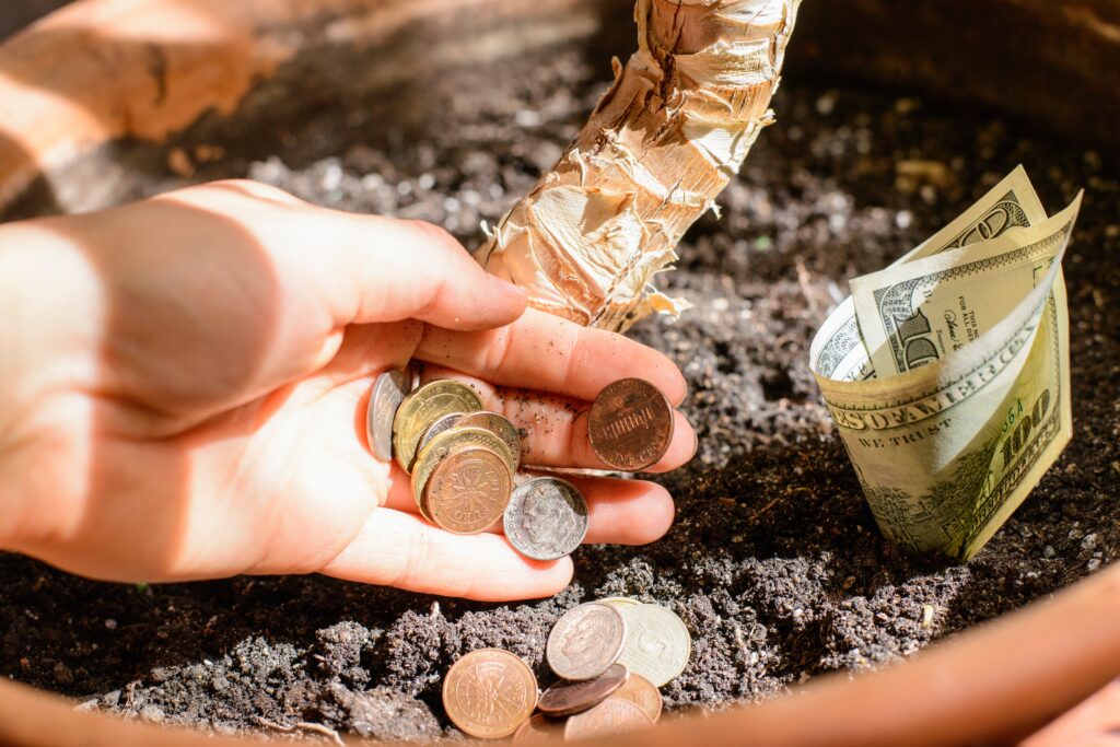 the increase in capital a profitable investment 2023 11 27 05 04 07 utc