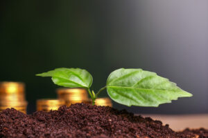 coins in soil with young plant money growth conce 2023 11 27 05 13 17 utc