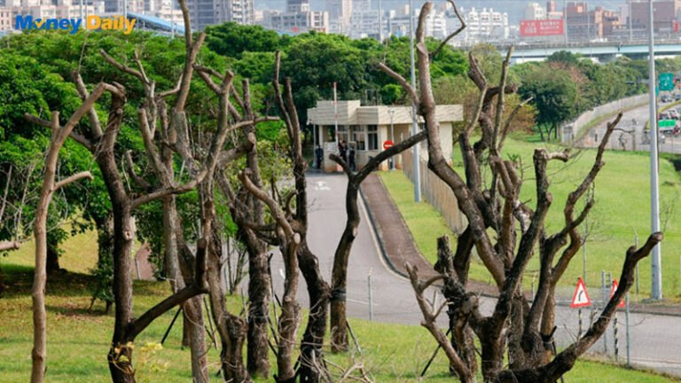 2025台灣綠地管理困境：法規缺失與地方自治挑戰，如何實現永續發展？