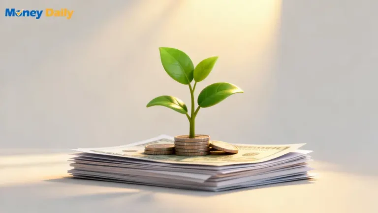 聯徵紀錄查詢到信用分數培養：2025最新終極指南,一篇搞懂！