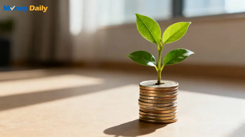 勞工退休金新制一篇搞懂：自提6%好嗎？如何查詢？2025完整指南