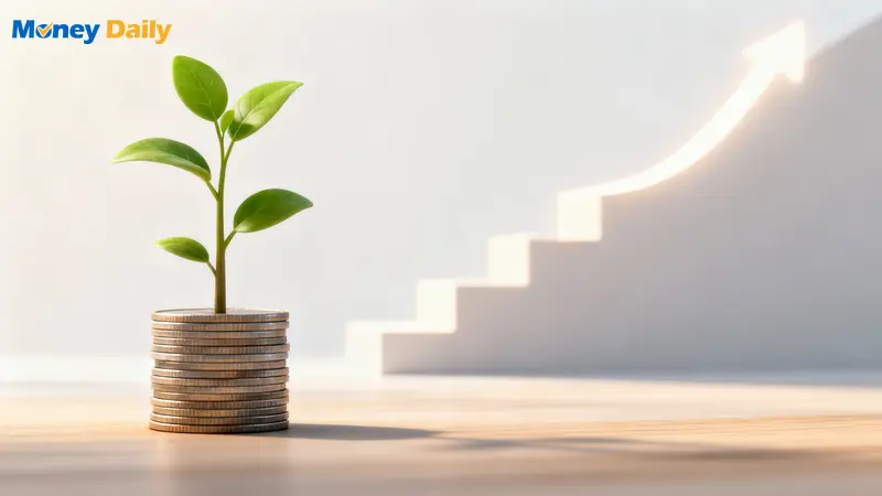 2026財富自由策略：寫給理財新手的5步驟完整指南,告別月光族！