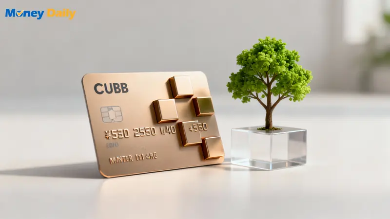 CUBE卡值得辦嗎？2025權益切換、小樹點回饋與年費優惠全攻略