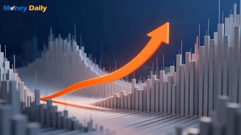 台股回檔,為何00981A績效獨走？深度解析2025年投資新策略