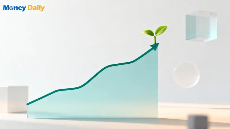 0050是什麼？2026新手投資指南：成分股、配息紀錄、定期定額教學一次看懂