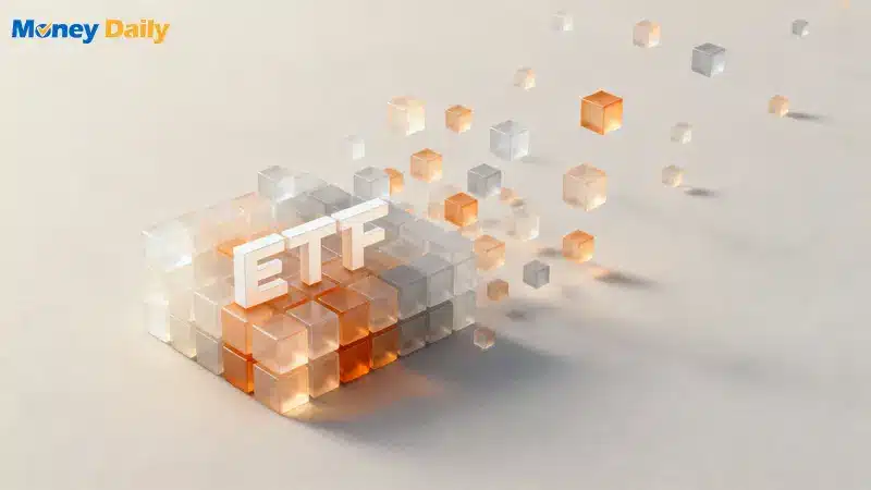 ETF成分股越來越多,是好是壞？深度解析00929、0056、00919擴編對投資人的三大影響