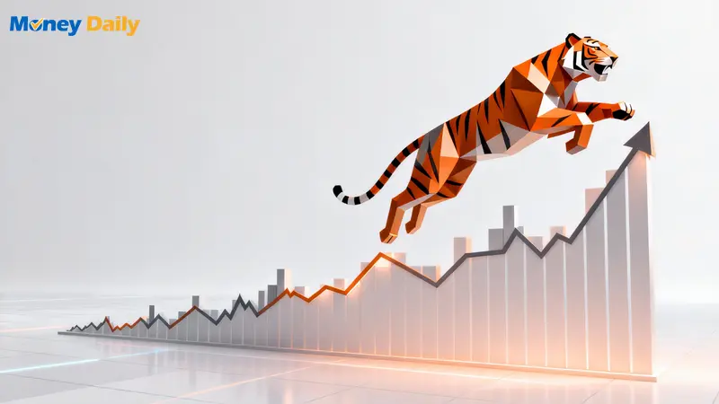 2026老虎證券評測：市場降息預期下,開戶佈局最佳時機？收費、安全性與優惠全解析(附邀請碼)