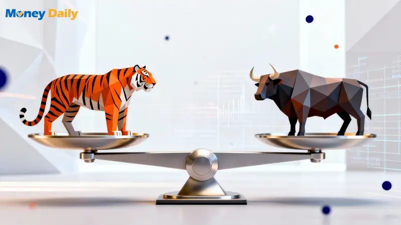 老虎證券vs IB證券 (盈透) 哪間好？2026最完整手續費、優缺點、開戶優惠比較懶人包